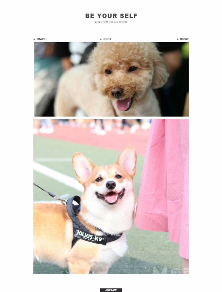 清新模特