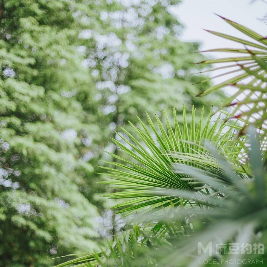日系模特