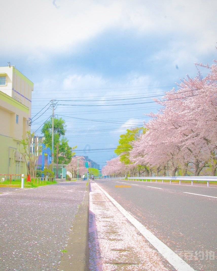 日系模特