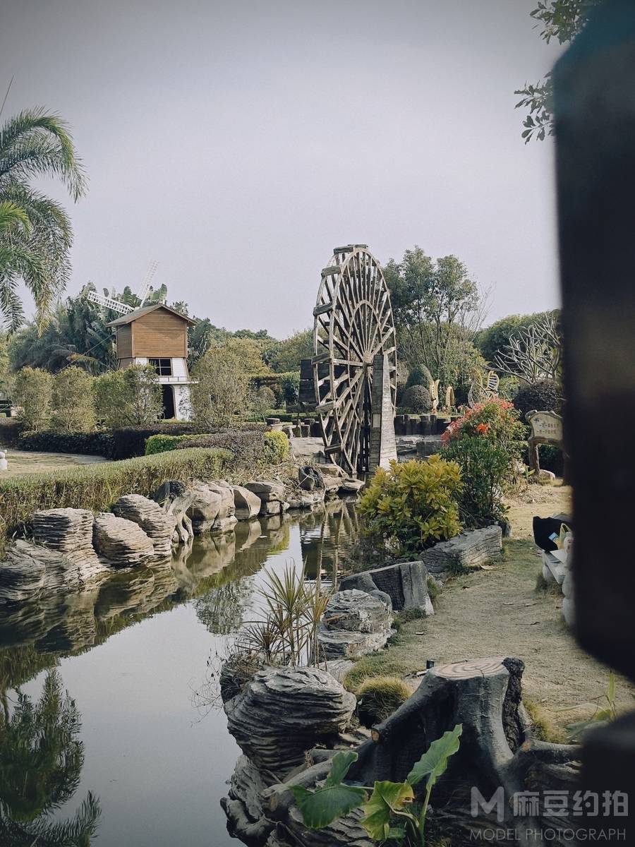 胶片模特