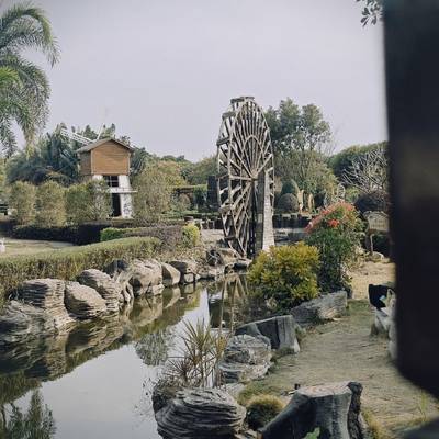 胶片模特