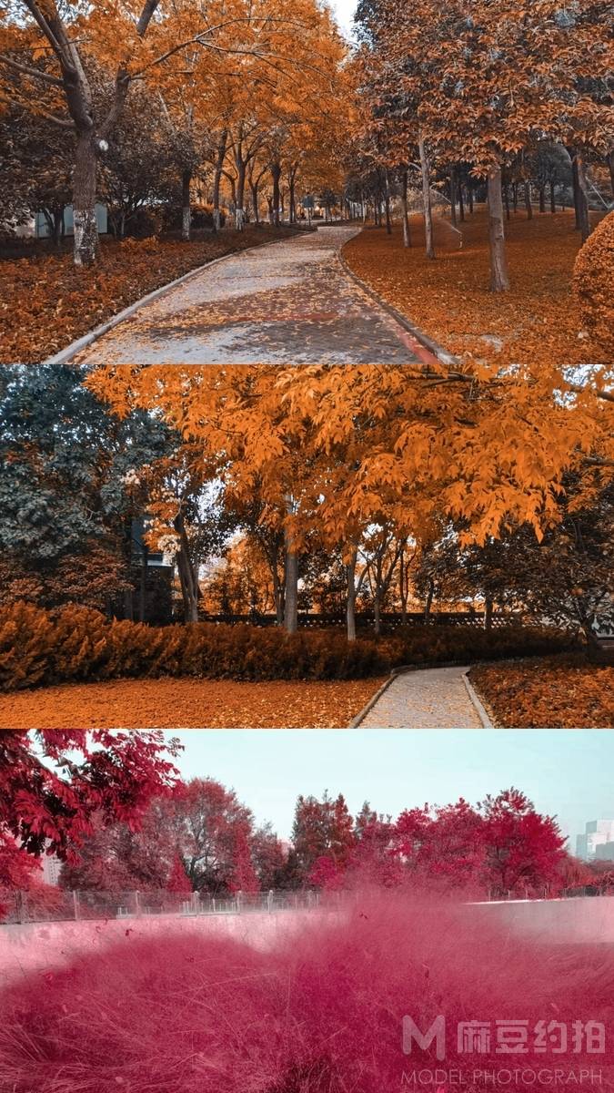 纪实模特