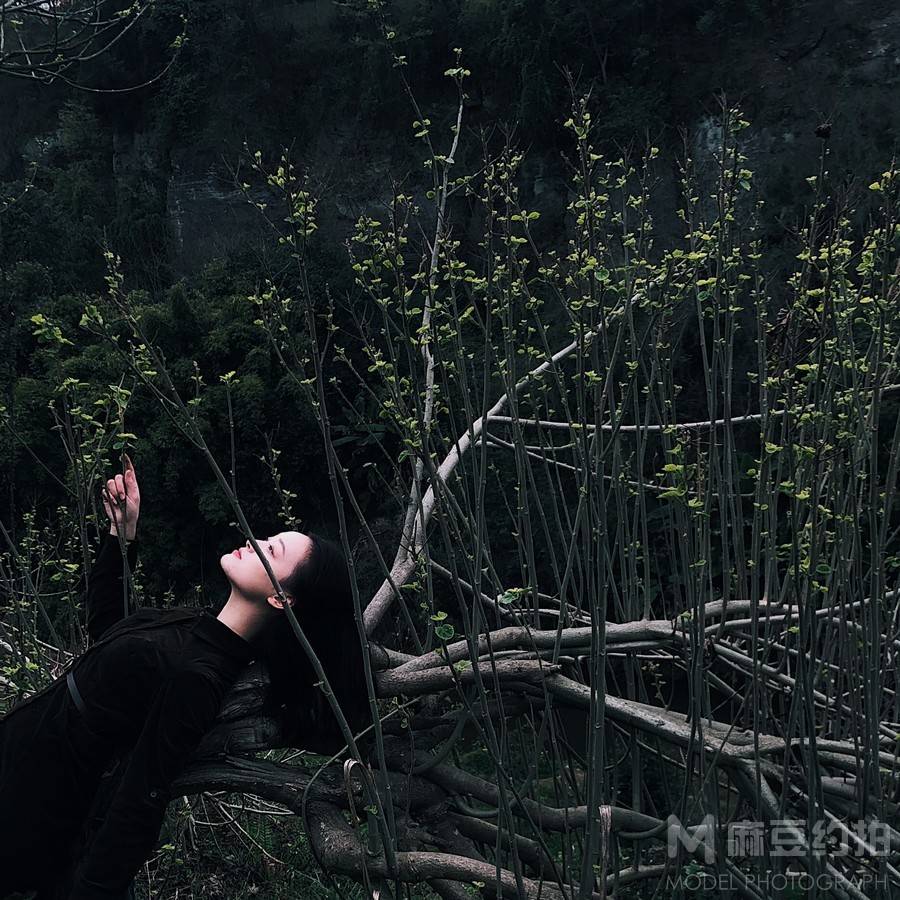 韩系模特