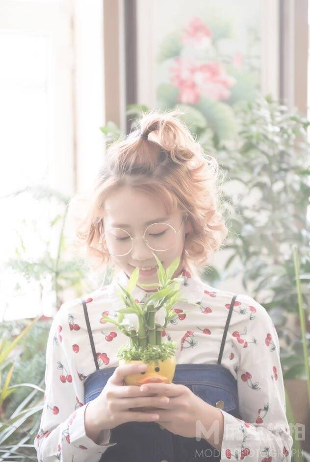清新模特