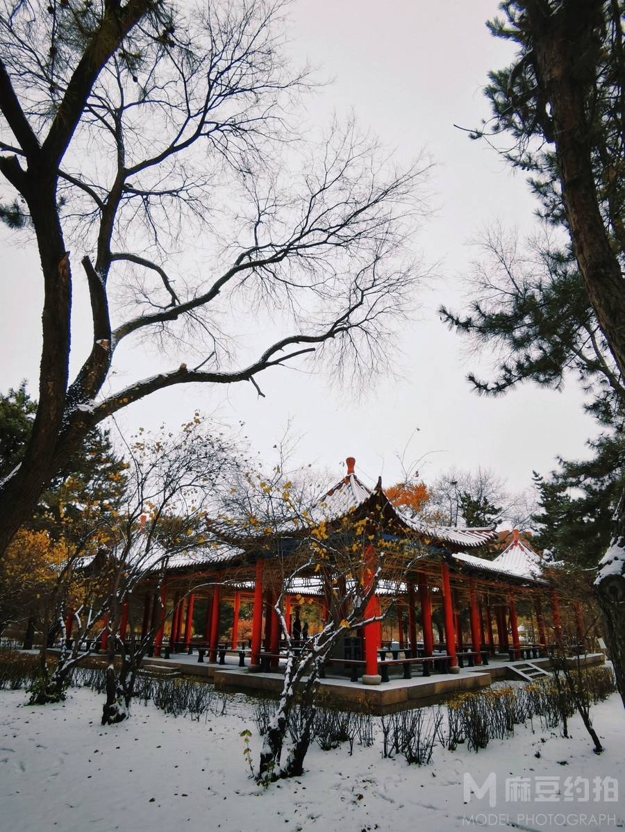 纪实模特
