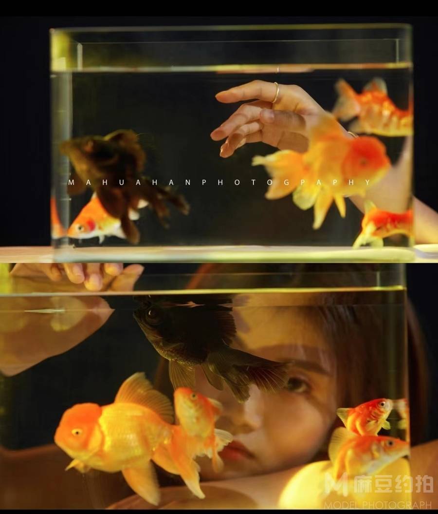 情侣模特