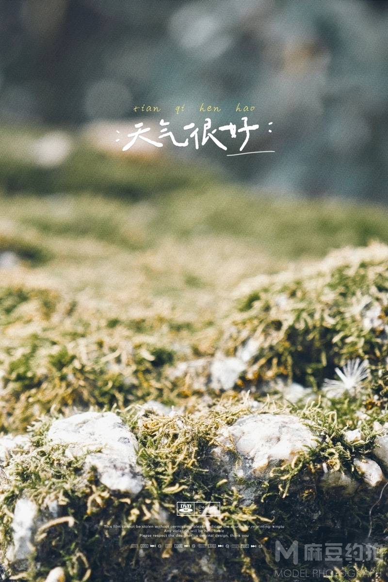 胶片模特