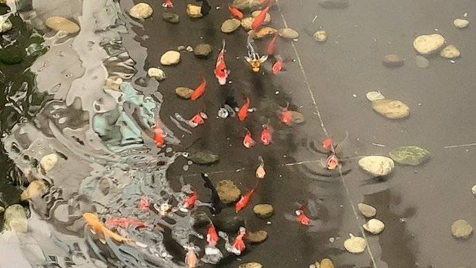 奋豆窝—社区共享学习空间