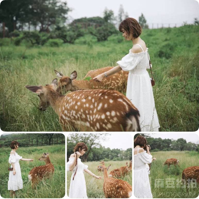 纪实模特