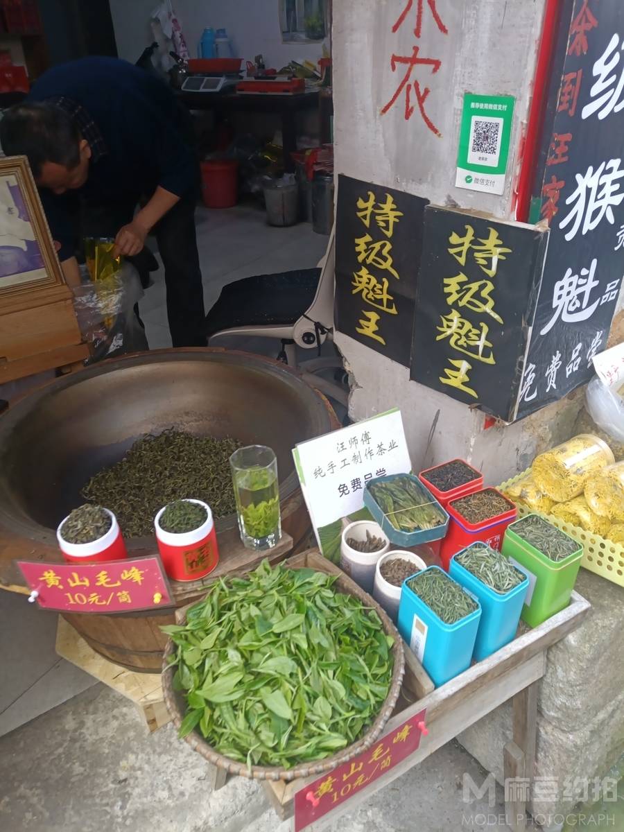 纪实模特