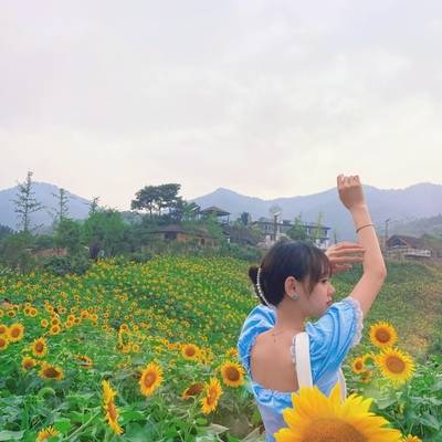 韩系模特