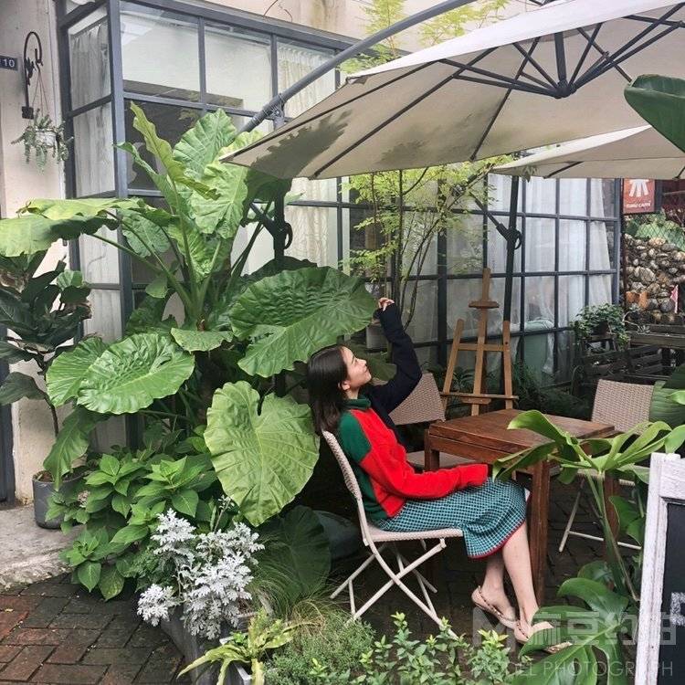 淘宝模特