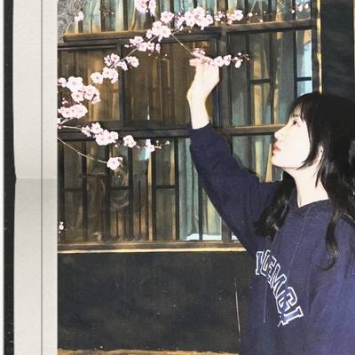 韩系模特