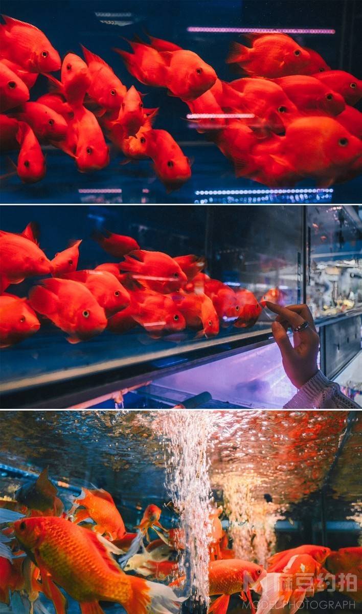 复古模特