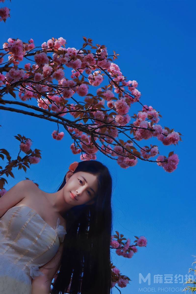 旗袍模特