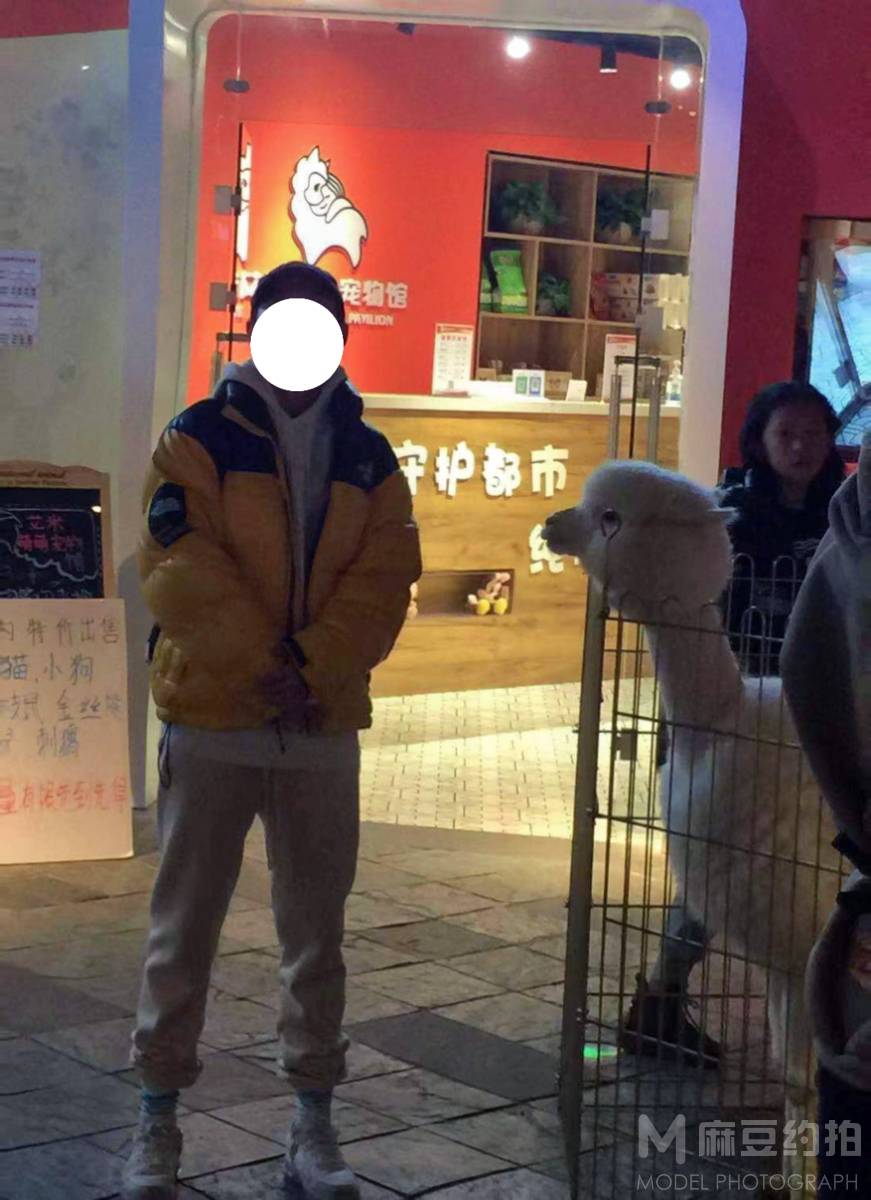 情侣模特