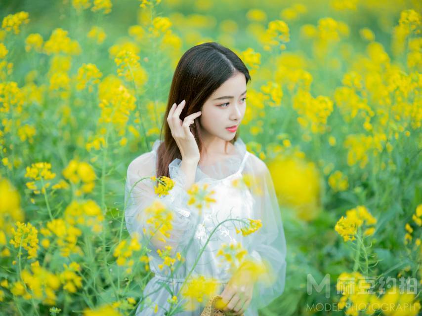 清新模特