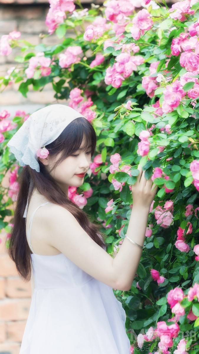清新模特