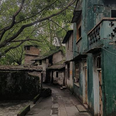 纪实模特