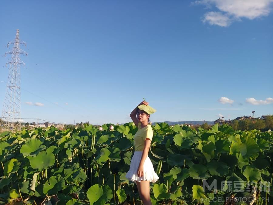 韩系模特