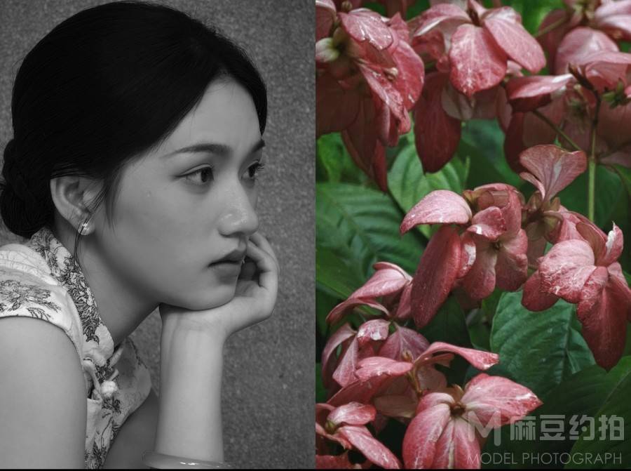 旗袍模特