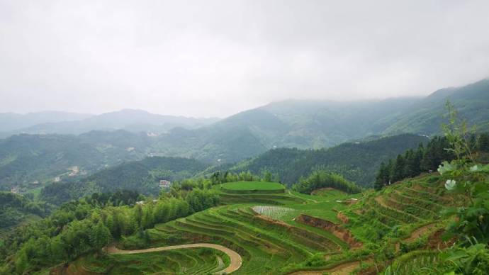 遂川县梯田