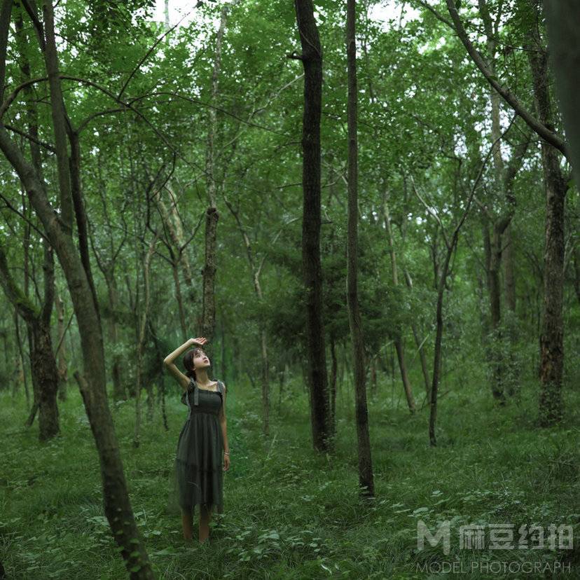 清新模特