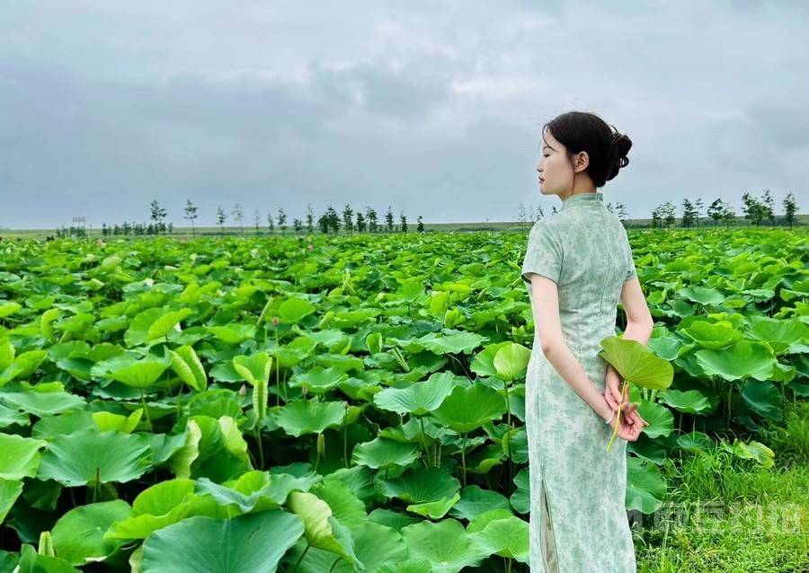 旗袍模特