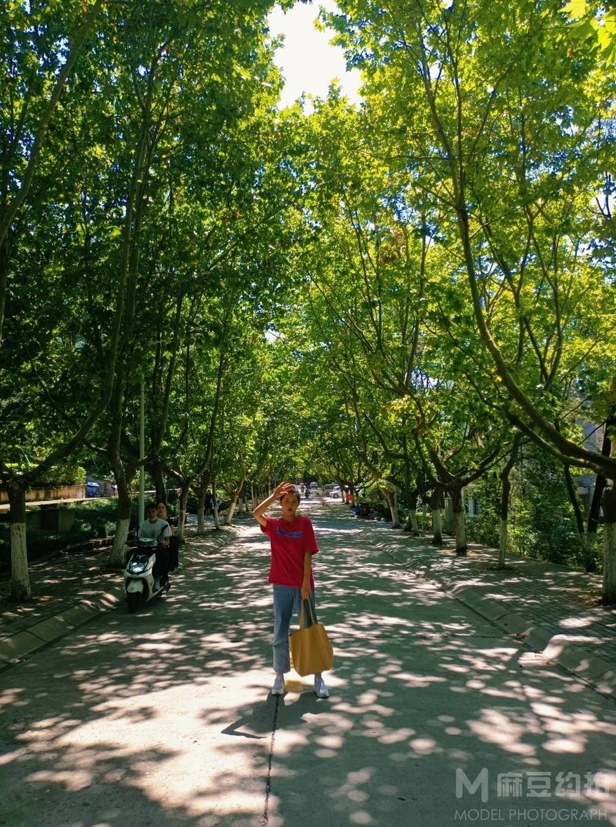 清新模特
