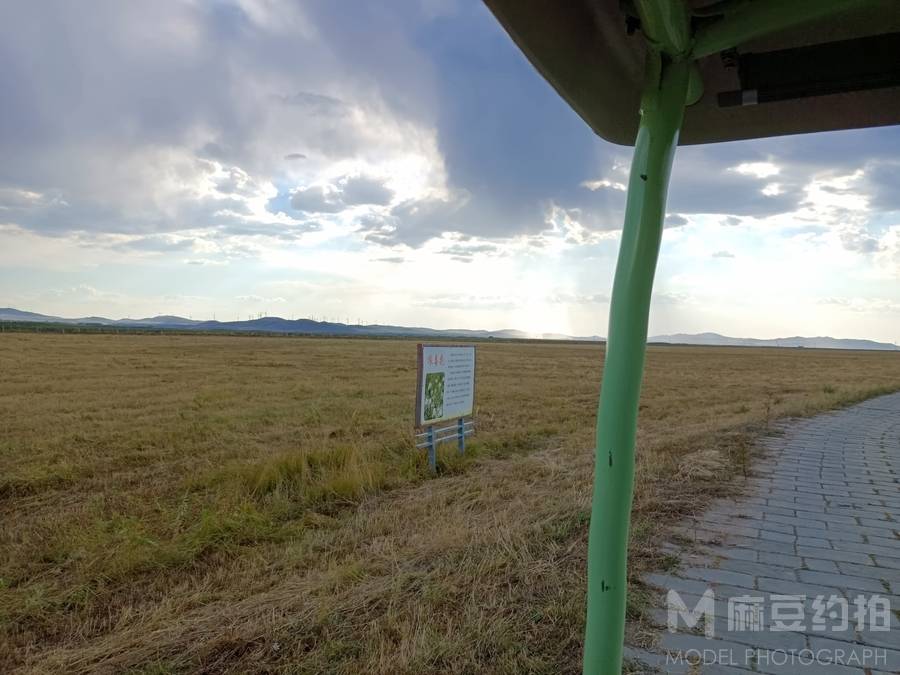 纪实模特