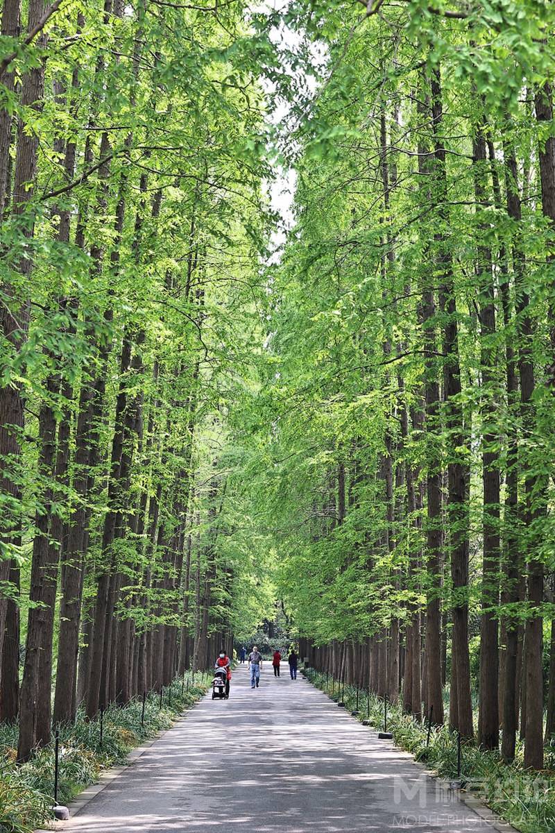黑白模特