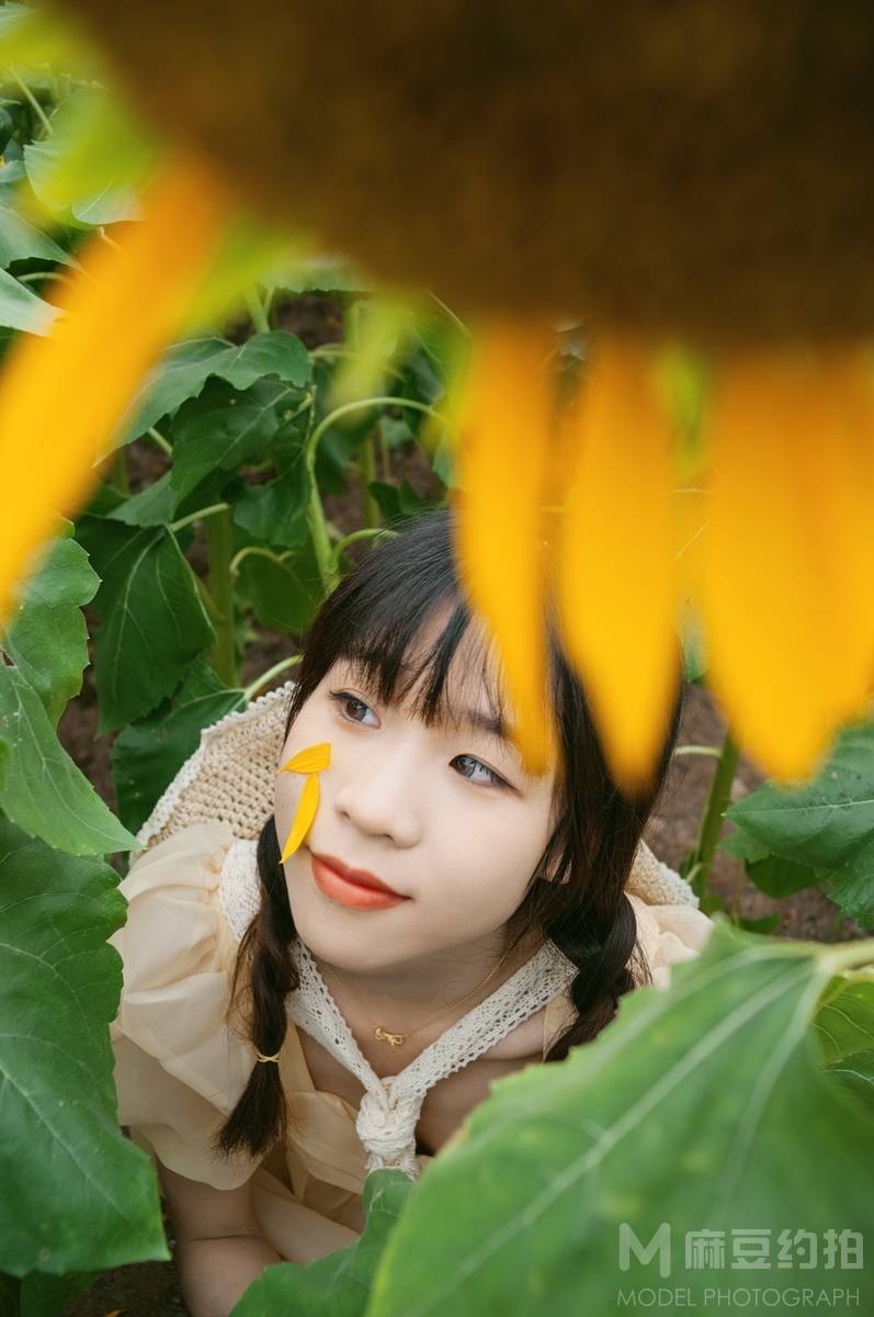 清新模特