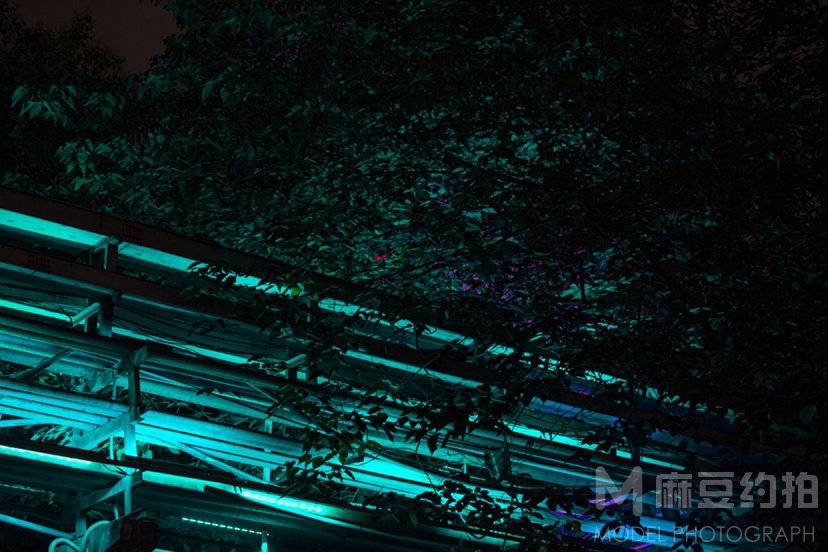 夜景模特