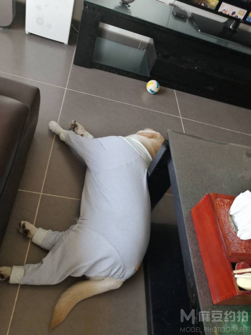 复古模特