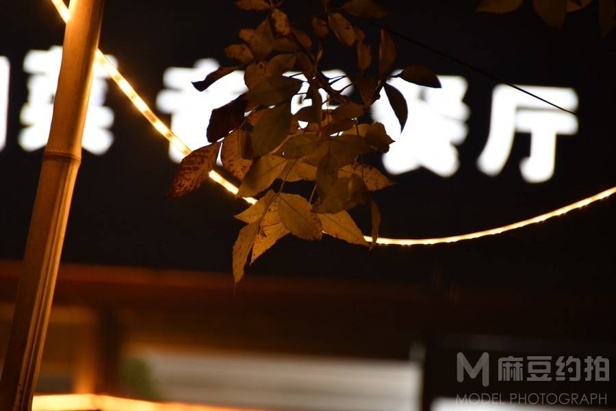 纪实模特