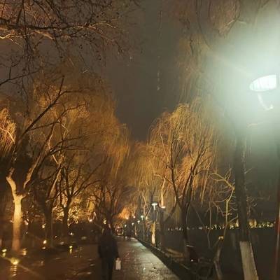 夜景模特