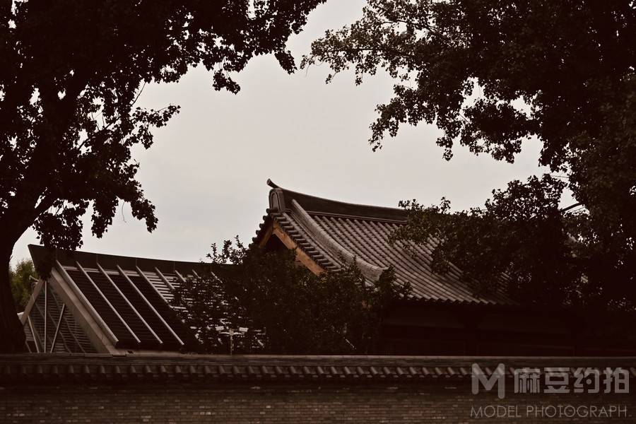 胶片模特