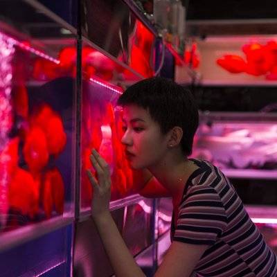 情绪模特