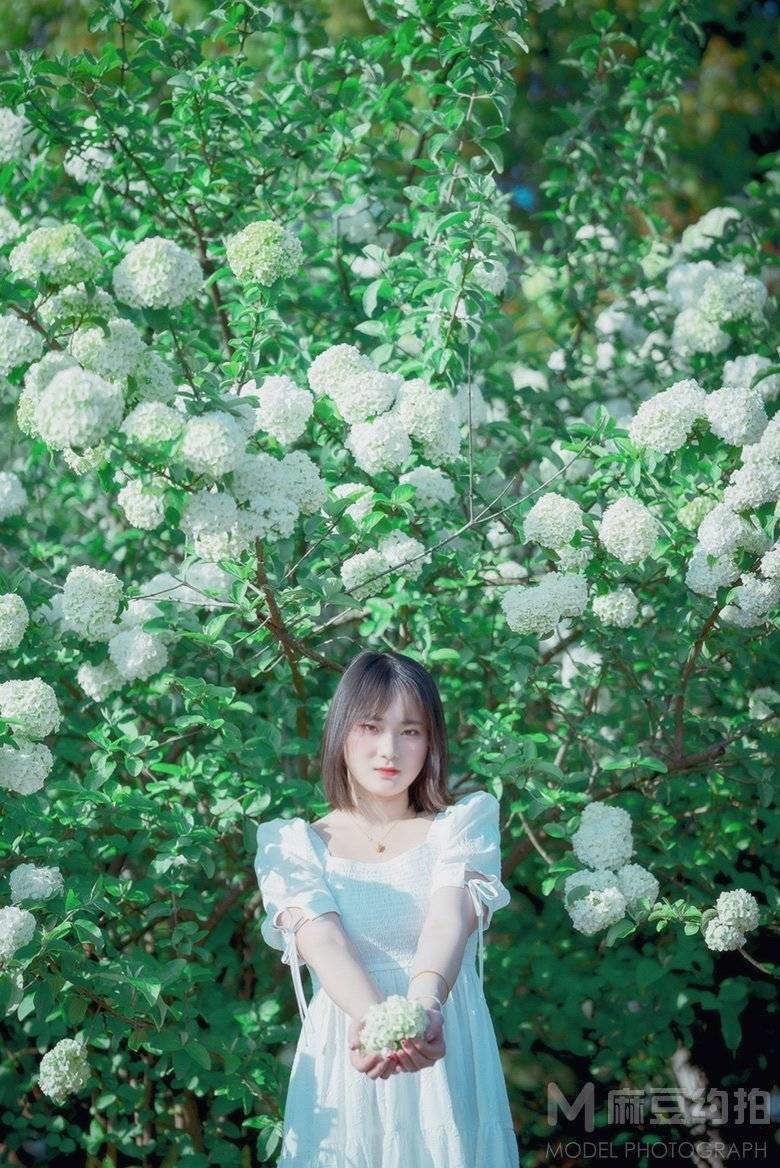 清新模特