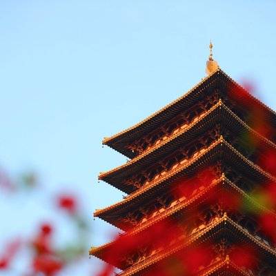 旗袍模特