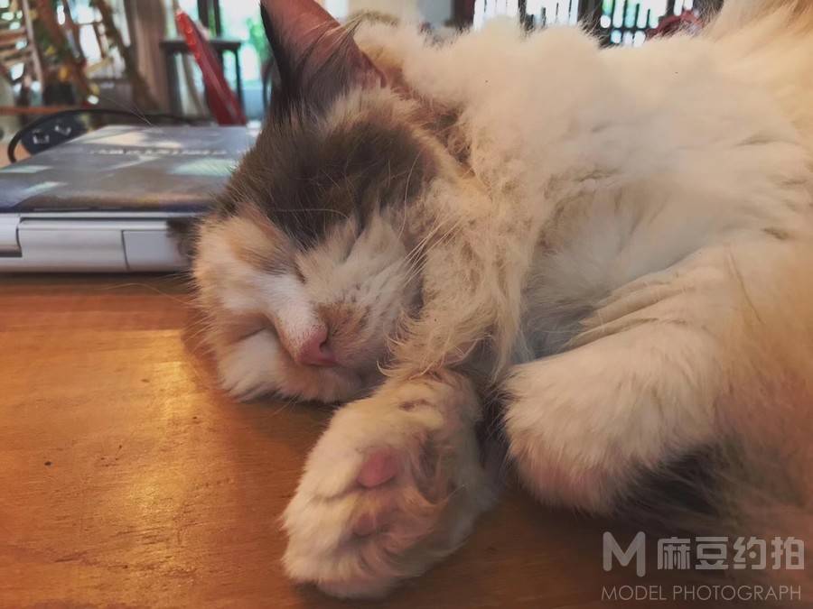 纪实模特