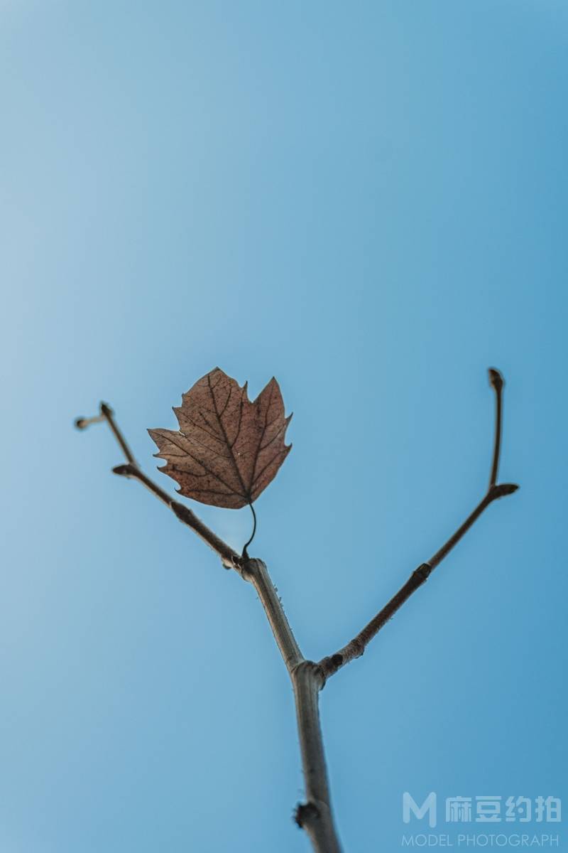 黑白模特