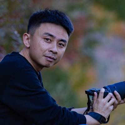 胶片模特