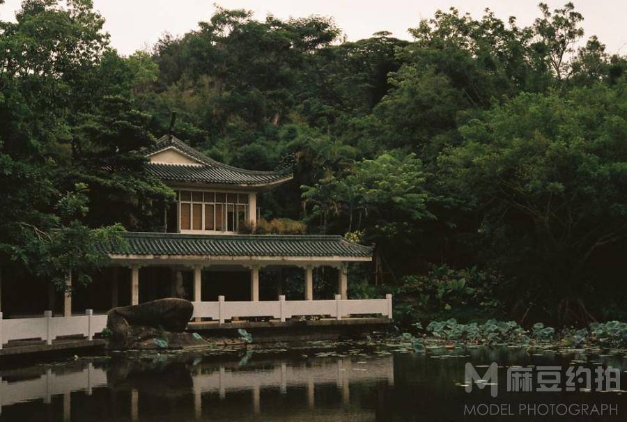胶片模特