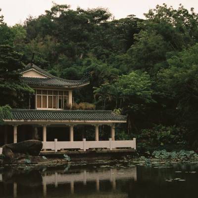 胶片模特