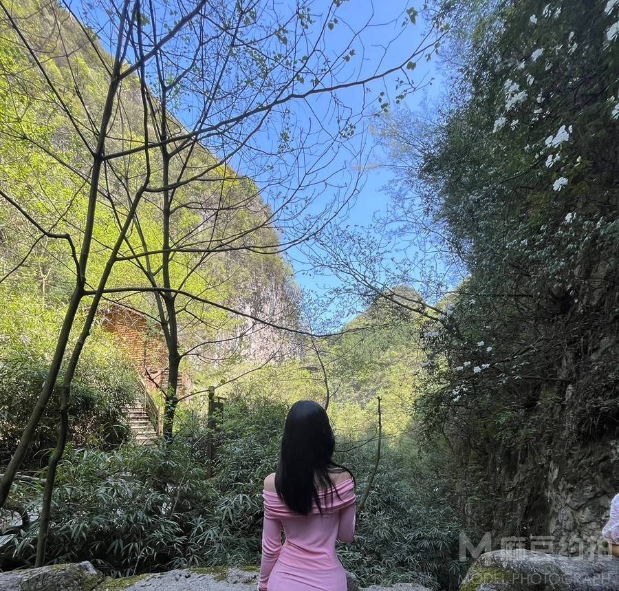 旗袍模特