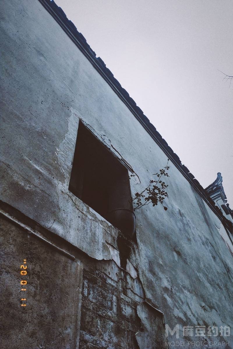 胶片模特
