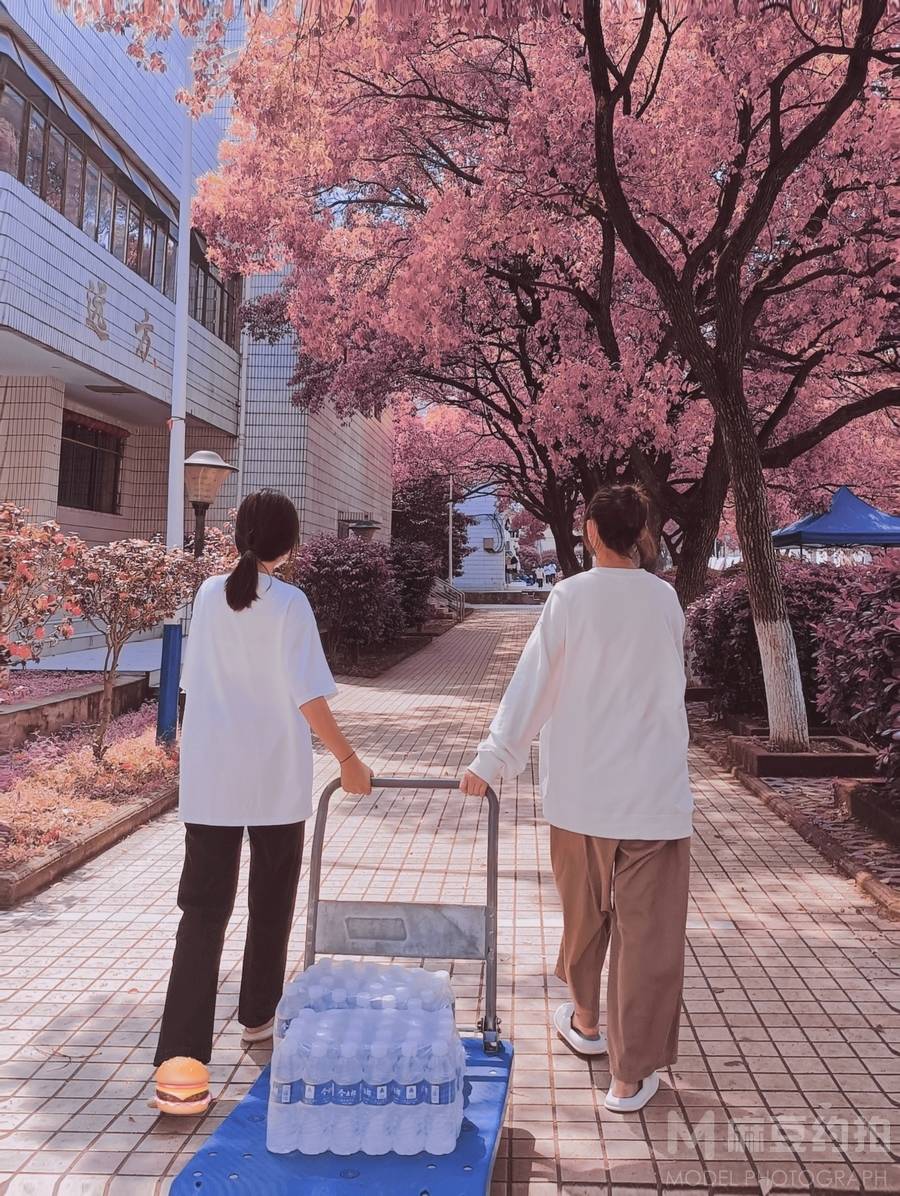 校园模特