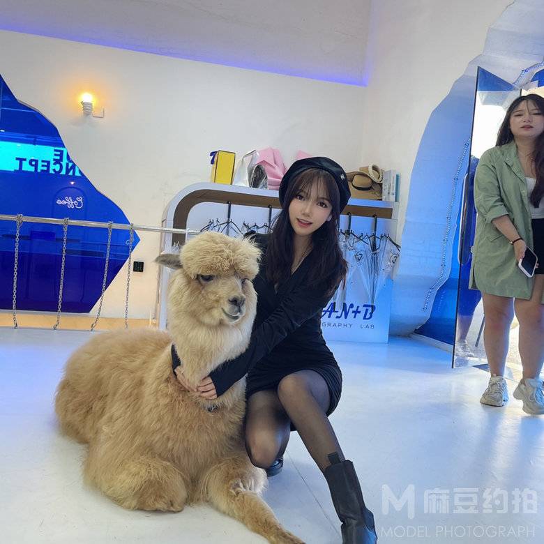 清新模特