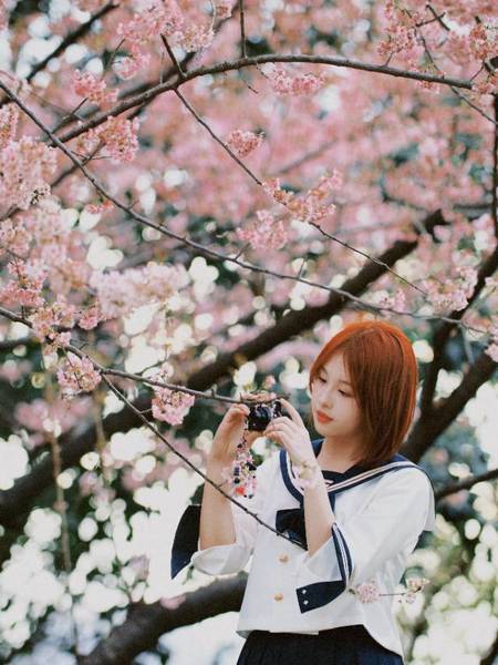 校园模特